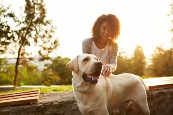 Off-leash dog park and pet stations